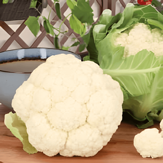 Cauliflower Seeds Brassica Oleracea Amazing Summer Autumn Variety