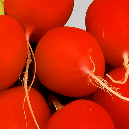 Radish Seeds Ravanello Rosso Gigante Raphanus Sativus Red Round
