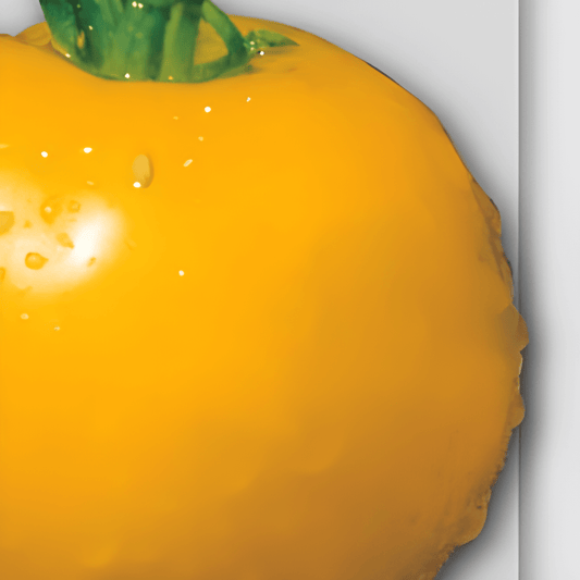 Yellow Round Tomato Seeds Solanum Lycopersicum L. Large Golden