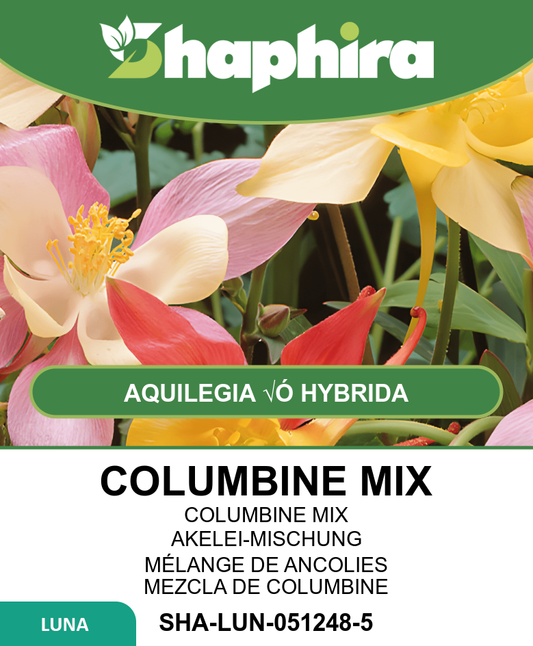 Columbine Mrs Scott Elliott Seeds Aquilegia Hybrida Vulgaris Flowers