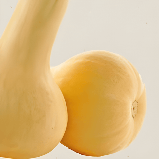 Organic Edible Pumpkin Seeds Cucurbita Moschata Waltham Butternut