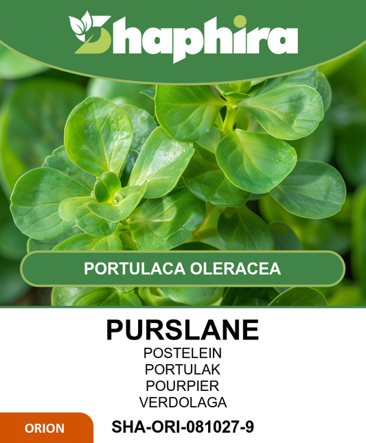 Corn Salad Seeds Portulaca Oleracea Strong Purslane 50 Grams