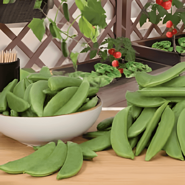 Sugar Snap Pea Seeds Pisum Sativum Sweet Edible Pod Variety