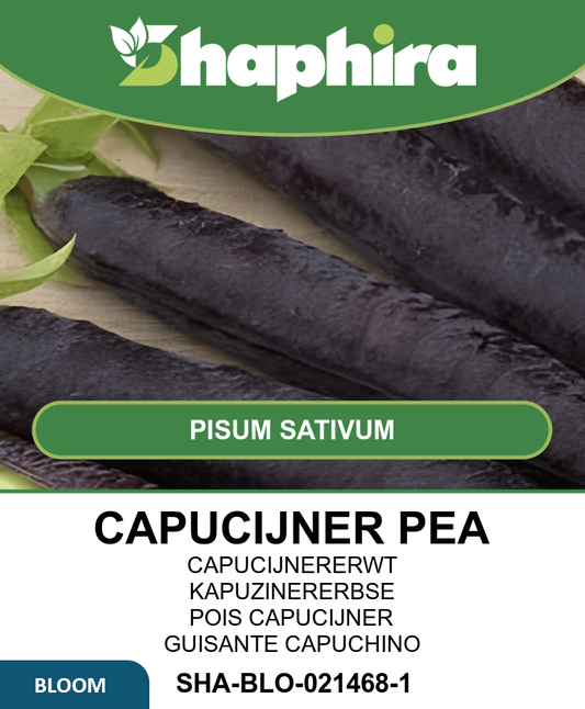 Capucijners Seeds Pisum Sativum Ezetha’s Krombek Blauwschok Variety