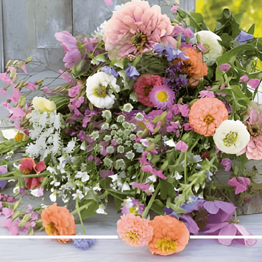 Pastel Summer Flower Seeds Colorful Annual Mix For Bouquets