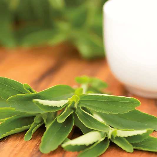 Stevia Seeds Stevia Rebaudiana Natural Sweetener Herb Seeds