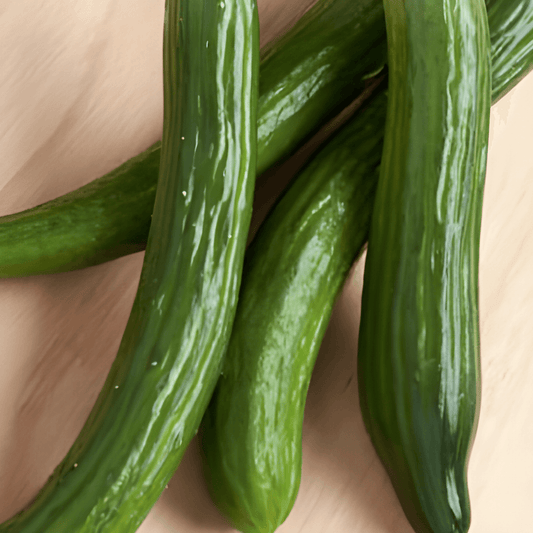 Chinese Snakes Cucumber Seeds Cucumis Sativus Sweet Mild Flavor