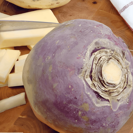 Kohlrabi Seeds Brassica Napus Var Napobrassica Champion Variety Yellow Red Head