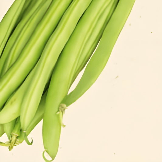 Organic Green Bean Seeds Phaseolus Vulgaris Maxi Variety 50g