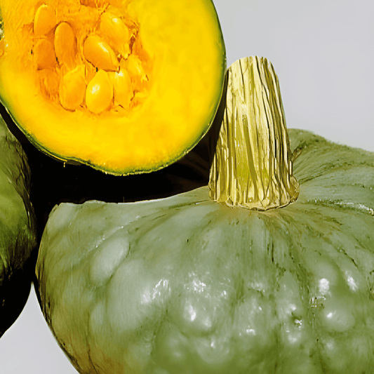 Berrettina Piacentina Pumpkin Seeds Cucurbita Maxima Sweet Firm Flesh