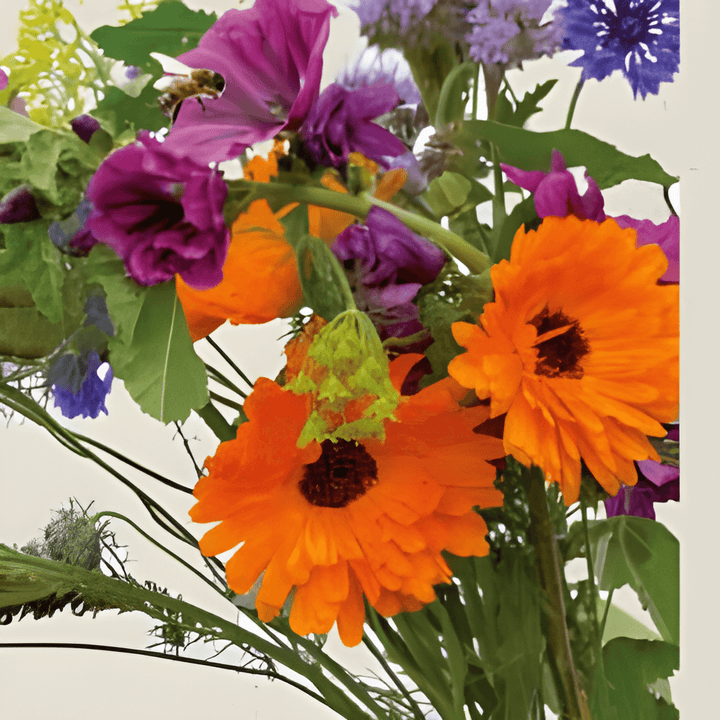 Biological Flower Mix Seeds Sinapis Alba For Bees Attraction