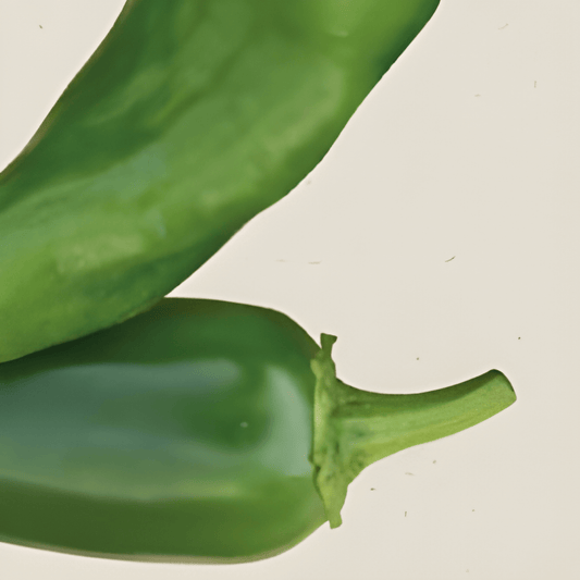 Organic Padron Pepper Seeds Capsicum Annuum Mild Snack Variety