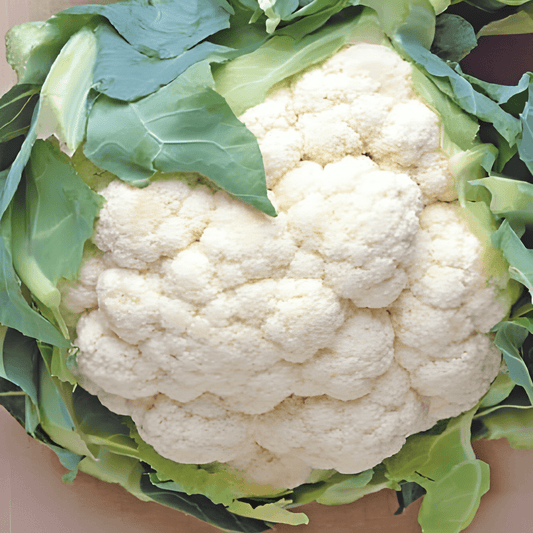 Cauliflower Autumn Giants Seeds Brassica Oleracea Large White Heads