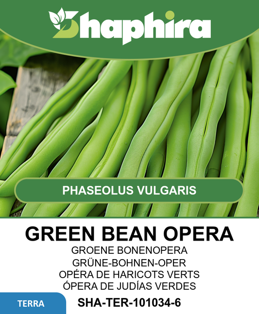 Green Beans Seeds Phaseolus Vulgaris Opera Fine-podded String Beans