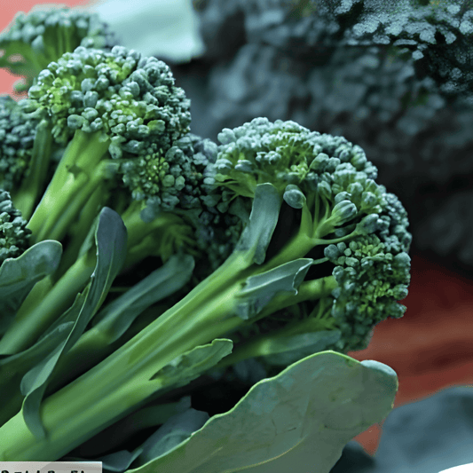 Sprouting Broccoli Montobello F1 Brassica Oleracea Seeds