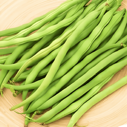 Green Bean Seeds Phaseolus Vulgaris Argus Haricot Vert 15g