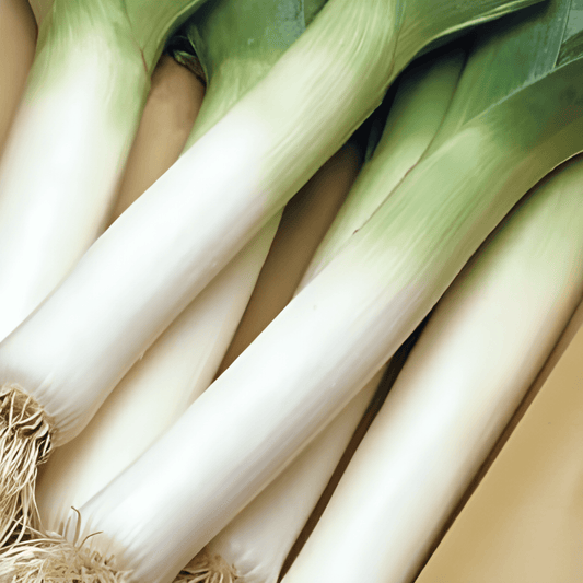 Leek Autumn Giants Seeds Allium Porrum For Autumn Harvest