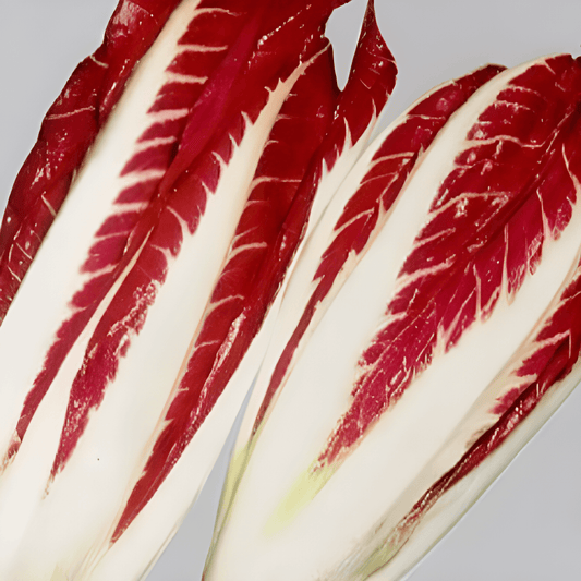 Radicchio Seeds Cichorium Intybus L Italian Red Chicory Variety