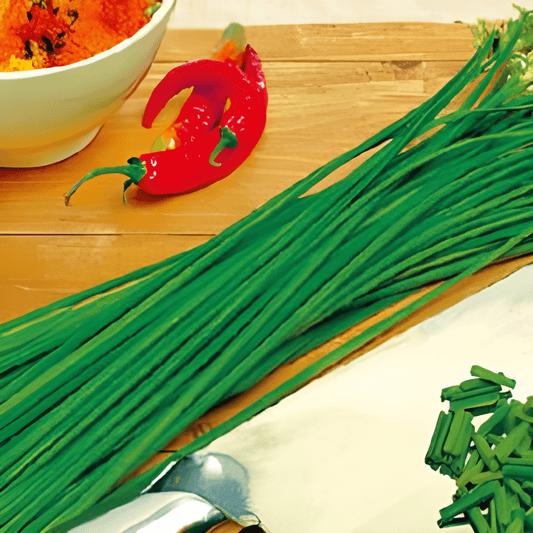 Chinese Garlic Chives Seeds Allium Tuberosum Mild Garlic Flavor