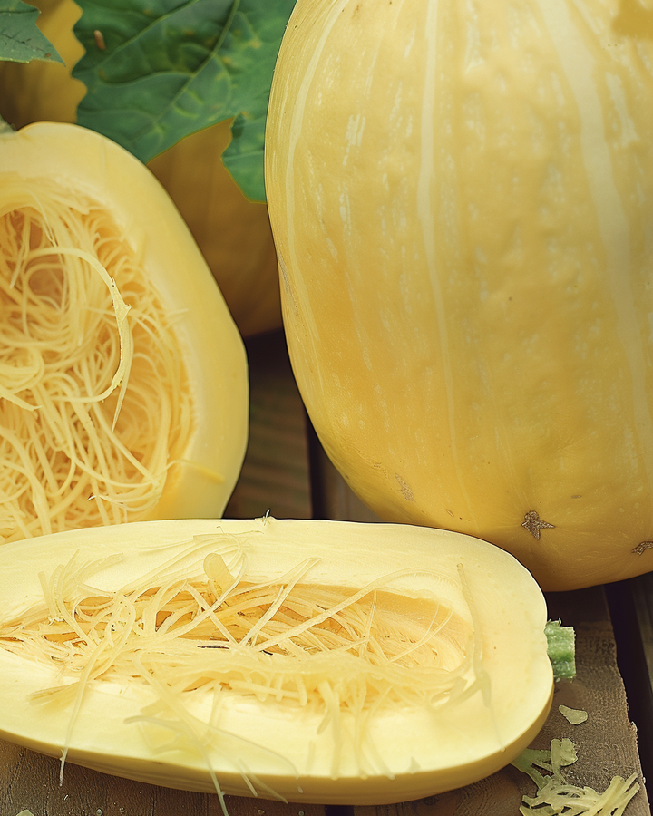 Spaghetti Pumpkin Seeds Cucurbita Pepo Unique Vegetable Variety