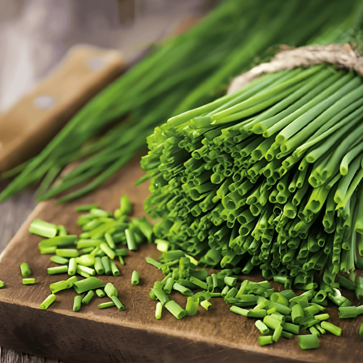 Chives Seeds Allium Schoenoprasum Fine Flavor Herb Seeds