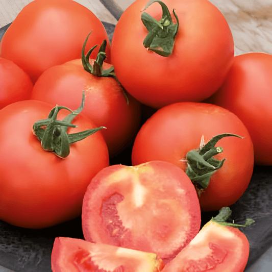 Cluster Tomato Seeds Serrat F1 Solanum Lycopersicum Variety