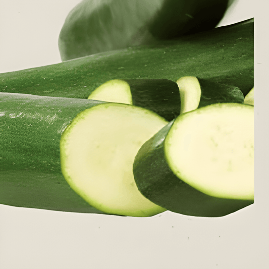 Organic Zucchini Seeds Dunja F1 Cucurbita Pepo Vegetable Variety