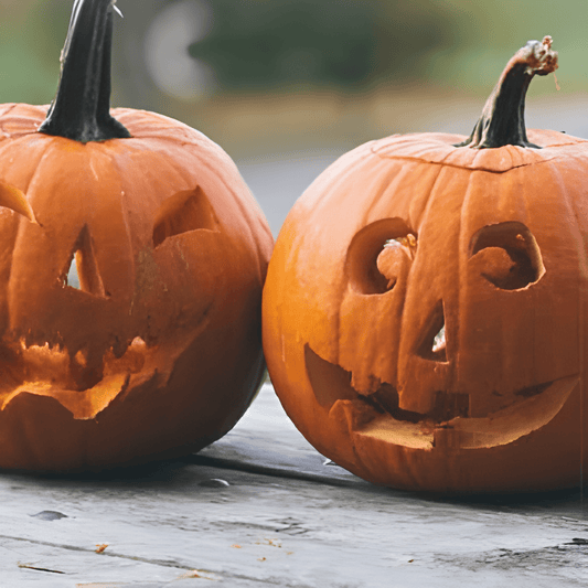 Pumpkin Jack O Lantern Seeds Cucurbita Pepo Halloween Carving Variety