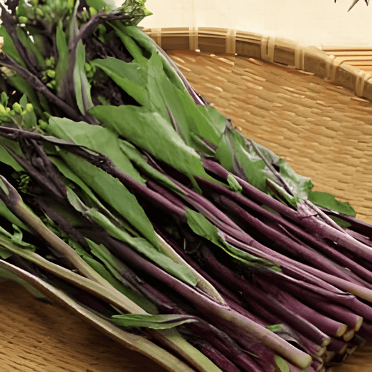 Hon Tsai Tai Choy Sum Seeds Brassica Rapa Purple Stems Vegetable