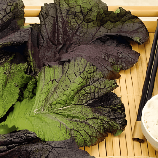 Red Mustard Greens Seeds Brassica Juncea Spicy Amsoi Variety