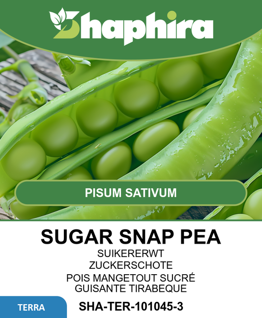 Sugar Snap Peas Seeds Pisum Sativum Market Conqueror Variety