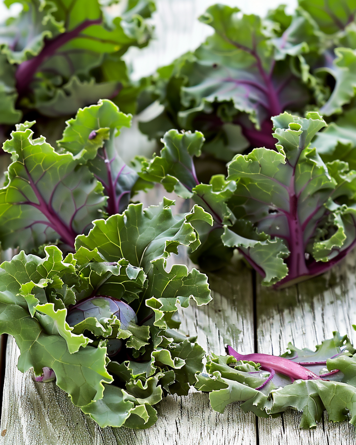 Kale Brussels Sprouts Seeds Brassica Oleracea Winter Hybrid Mix