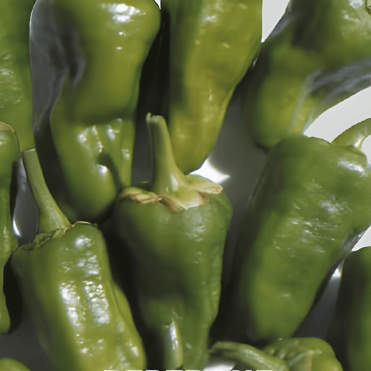 Padron Pepper Seeds Capsicum Annuum Mild Green Frying Variety