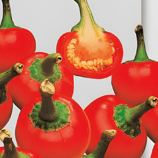 Perona Red Cherry Pepper Seeds Capsicum Annuum L. Hot Variety