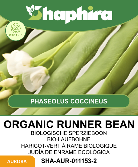 Runner Bean Seeds Phaseolus Coccineus L. Emergo Variety