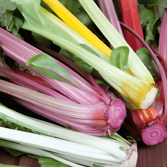 Swiss Chard Bright Lights Beta Vulgaris Colorful Vegetable Seeds