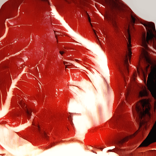 Root Celery Palla Rossa Seeds Cichorium Intybus L. Salad Variety