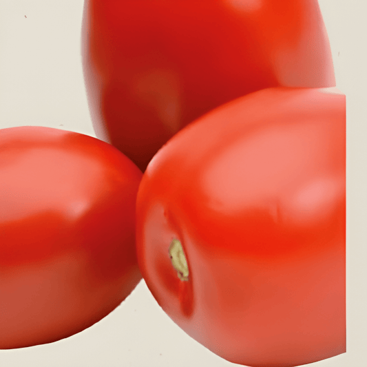 Organic Roma Tomato Seeds Solanum Lycopersicum Vegetable Variety
