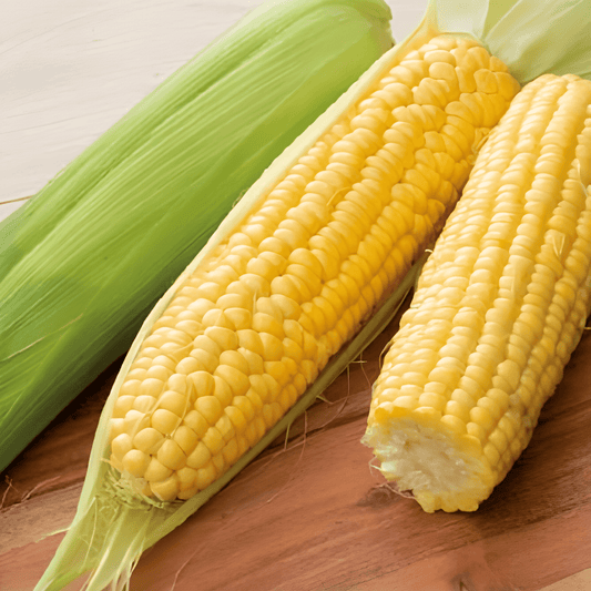 Sweet Corn Tasty Sweet F1 Seeds Zea Mays