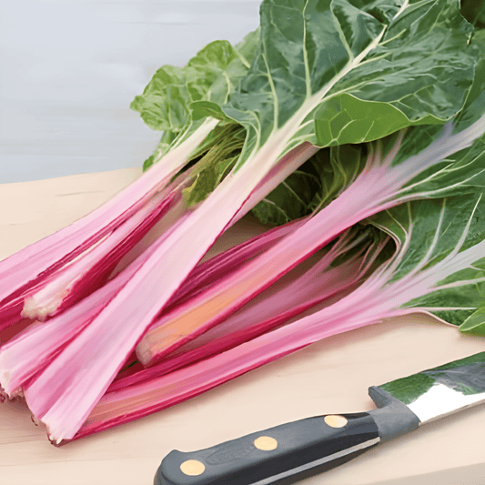 Swiss Chard Peppermint Beta Vulgaris Vegetable Seeds