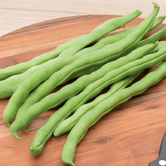 Pole Snap Beans Neckarkönigin Seeds Phaseolus Vulgaris Variety