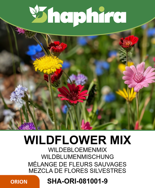 Wildflower Seed Mix Native Meadow Flowers Long Blooming Period Seeds