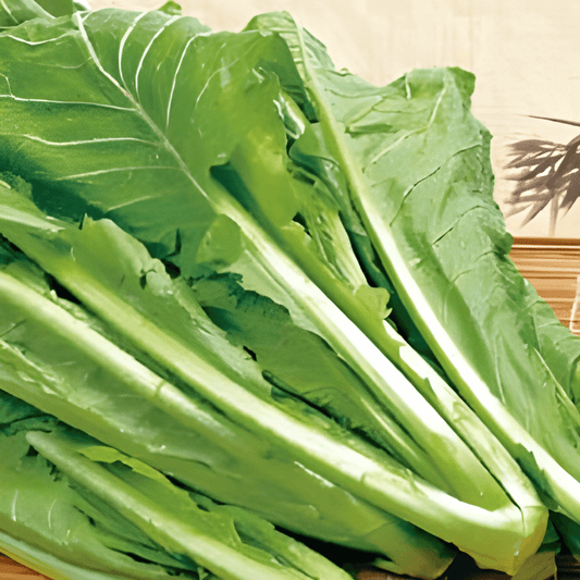 Mustard Greens Seeds Brassica Juncea Spicy Loose Leaf Variety