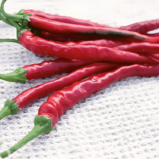 Cayenne Pepper Seeds Capsicum Annuum Spanish Long Red Spicy