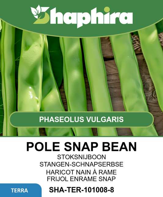Pole Snap Beans Seeds Neckarkönigin Phaseolus Vulgaris 100g