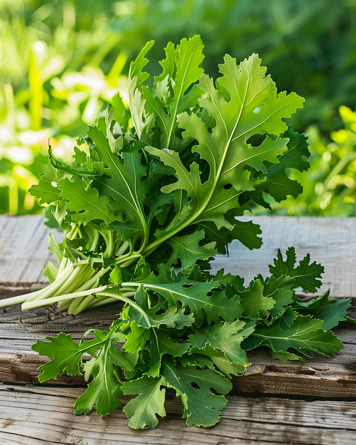 Wild Arugula Seeds Diplotaxis Tenuifolia Spicy Perennial Herb