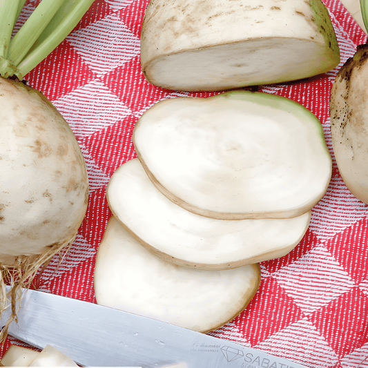 Albina Vereduna White Beet Seeds Beta Vulgaris Vegetable Variety