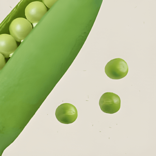 Organic Dwarf Pea Seeds Karina Pisum Sativum Sweet High Yield