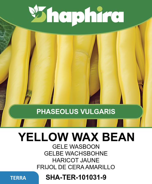 Green Beans Minidor Seeds Phaseolus Vulgaris Slender Yellow Wax