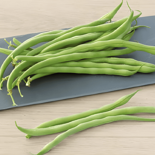Green Beans Haricot Vert Seeds Phaseolus Vulgaris Variety Argus